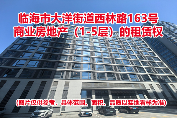 临海市大洋街道西林路163号商业房地产（1-5层）的租赁权